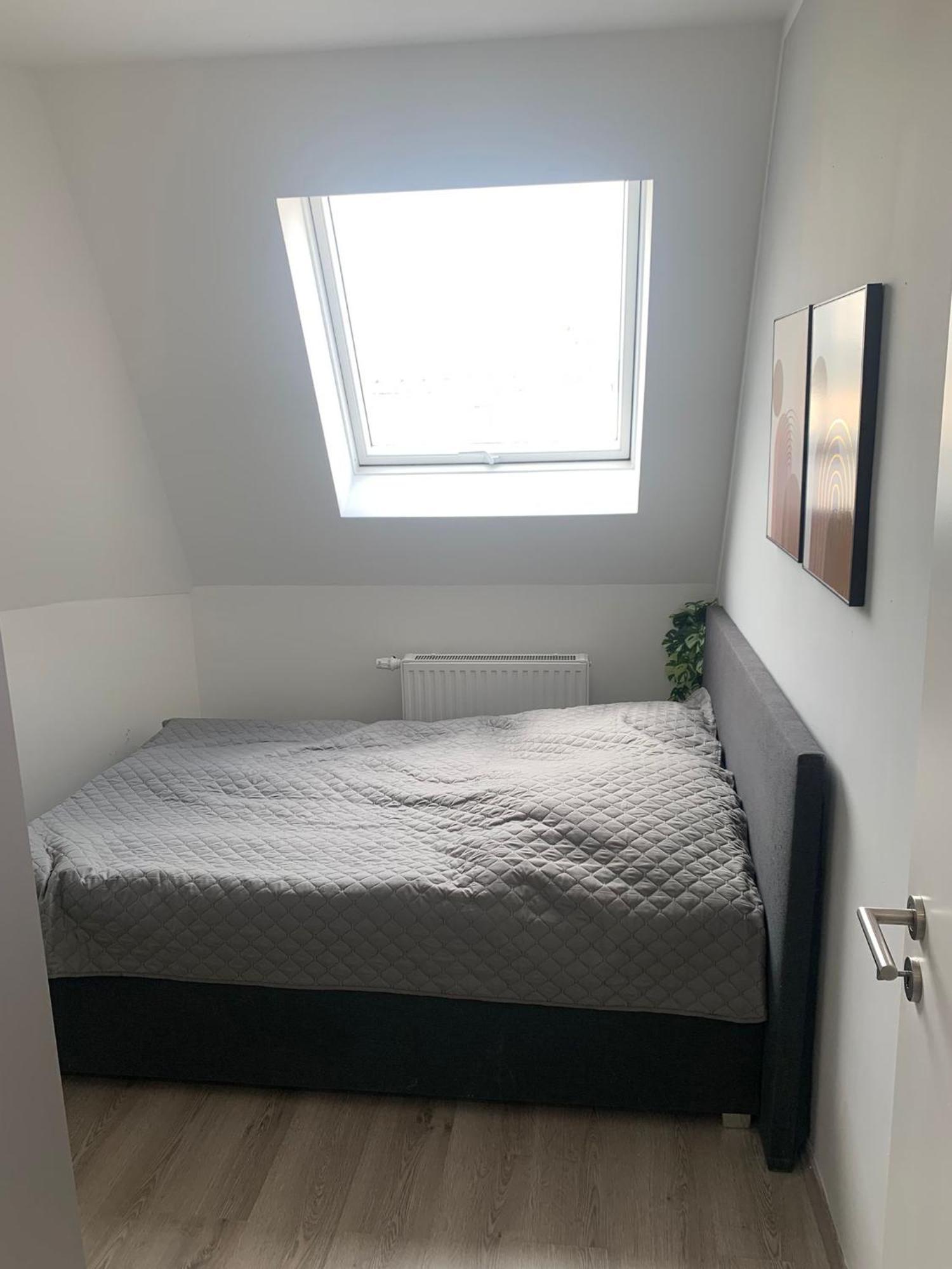 Apartment Ueber Den Daechern Von Halle Halle (Saale)